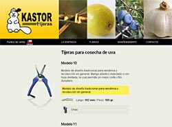 Sitio Web